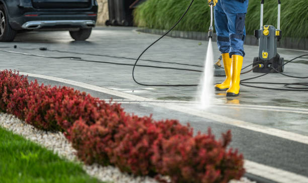 Best Solar Panel Cleaning  in Desert Edge, CA